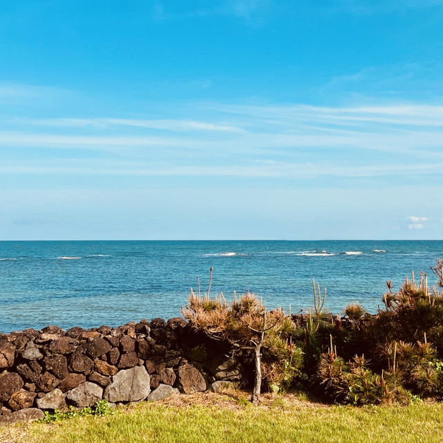 An "Amazing" Coastal Retreat with Superb Views