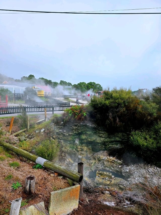 Whakarewarewa – The Living Māori Village by Lake Rotorua 
