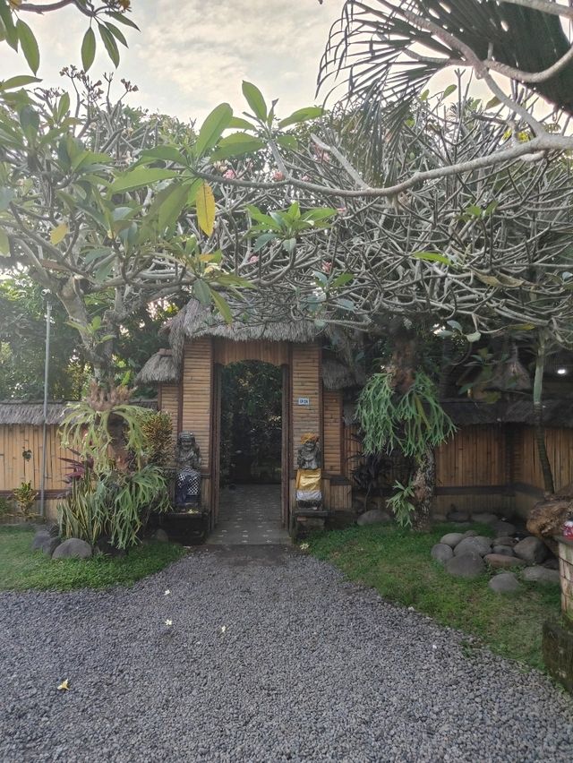 🌾 Bebek Sari Uma Tanah Lot: A Balinese Culinary Pause Amid the Paddy Fields