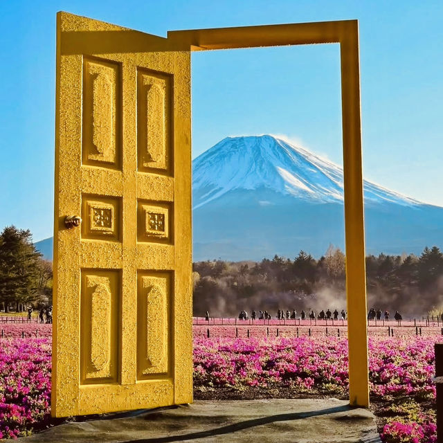 🗻 Escape to Nature: Solo Adventure at Fuji Motosuko Resort! 🌊⛺