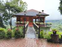 First Valley Coffee Estate