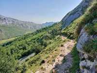 Rolling Hills and Cow Bells at Collado de Pandébano