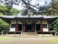 今がシーズン🤍【三溪園】