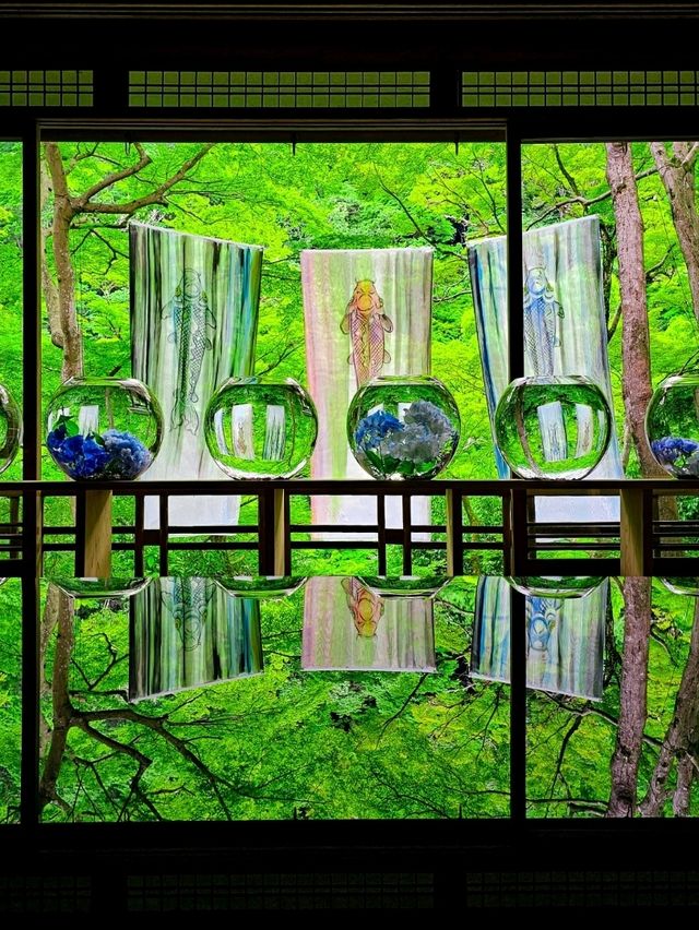 色の魔法に包まれて──光と水が奏でる、嵐山の異空間🎨✨