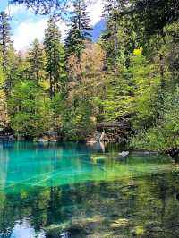 💙Blausee — A Blue Dream Hidden in the Swiss Forest