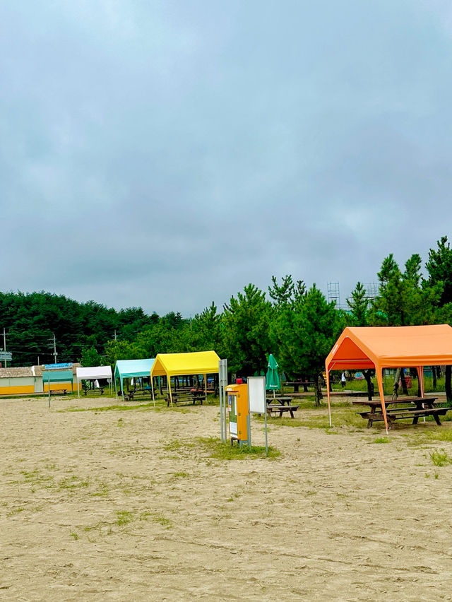 서핑하기 좋은 양양 기사문해변🏄🏻‍♀️