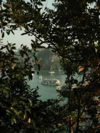 🚤世界遺産の絶景「ハロン湾」で、幻想的なクルーズ体験を