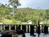 🌲 Nature’s Palette Comes Alive at Ethos Forest — Just Beyond Bentong 🌄