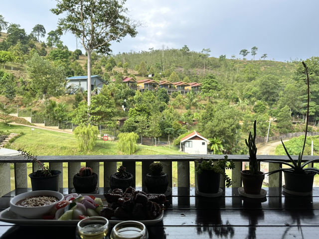 🌲 Nature’s Palette Comes Alive at Ethos Forest — Just Beyond Bentong 🌄