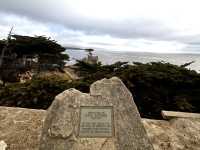 Stunning 17 Miles between Monterey and Carmel