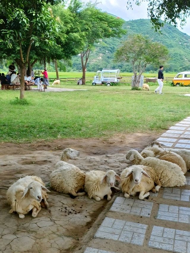 자연과 어우러진 특별한 힐링