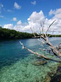 Nature Breezes at Laguna Nichupté