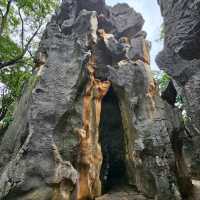 Getting Lost in the Wild Shapes of Shilin Stone Forest
