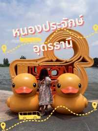 "อยากเจอเป็ดเหลือง" ต้องมาที่นี่📍หนองประจักษ์ 