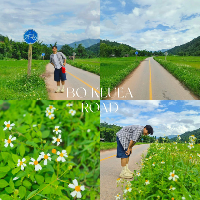 น่านฤดูฝน ทริป 2 วัน 1 คืน ชุ่มฉ่ำหัวใจสุดๆ 💚🌧️  น่านฤดูฝน ทริป 2 วัน 1 คืน ชุ่มฉ่ำหัวใจสุดๆ 💚🌧️