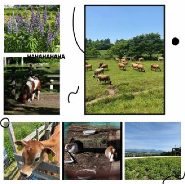 多湖農園🐑田園奇遇 