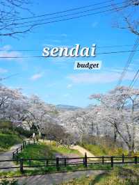 sendai sakura budget