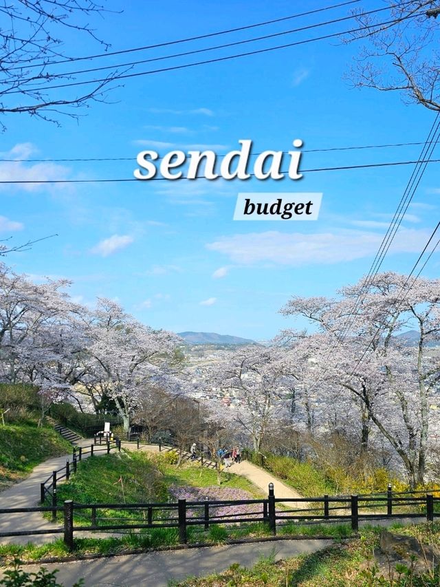 sendai sakura budget