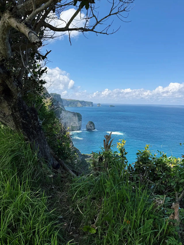 Banah Cliff Point Banah Cliff Point