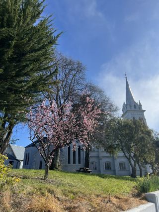 ทิมารู: เมืองท่าอันผ่อนคลายในนิวซีแลนด์