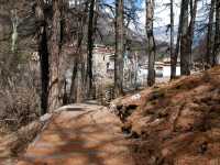 🏞️ : Zhuoma Lacuo Yading เที่ยวย่าติง จีน
