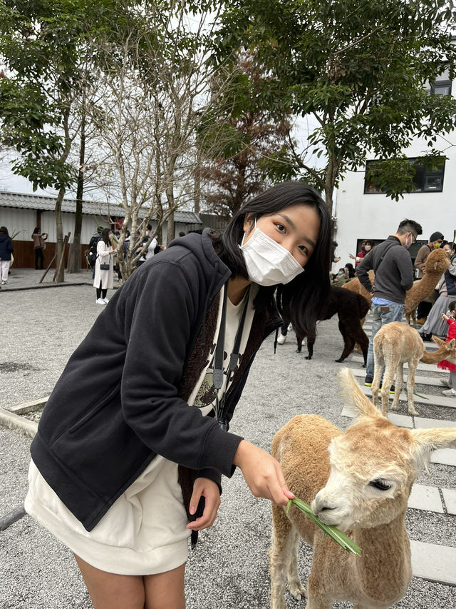 A Day at Yilan (picnic+beach and more!)👩🏻‍🤝‍👩🏼🧺✨