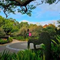 Nature’s Masterpiece at the Royal Botanic Gardens Victoria
