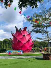 My Sepang Itinerary : A Sweet Discoveries at HL Dragon Fruit Eco Farm.