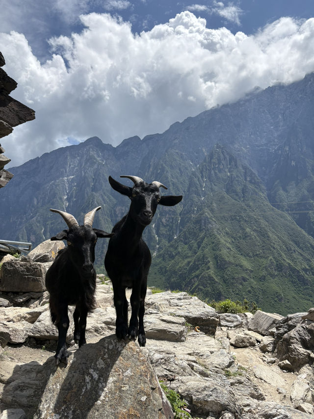 2D1N Chill Hike at Tiger Leaping Gorge 2D1N Chill Hike at Tiger Leaping Gorge