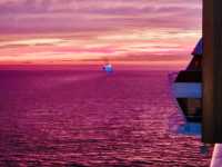 미스터트롯3 TOP7과 함께한 환상의 크루즈 여행, 카탈리나 섬과 엔세나다에서 선상 갈라쇼까지!