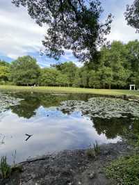上海4A級國家森林公園-共青森林公園🌳🌿🐿️