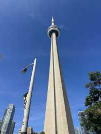 カナダ🇨🇦トロントの街歩き！マーケットからシティまで散策🚶