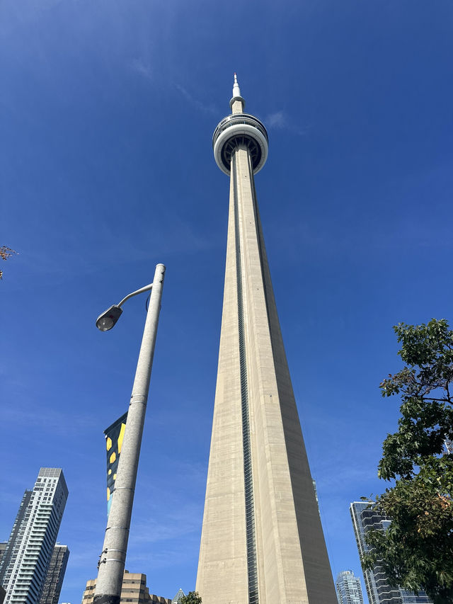 カナダ🇨🇦トロントの街歩き！マーケットからシティまで散策🚶