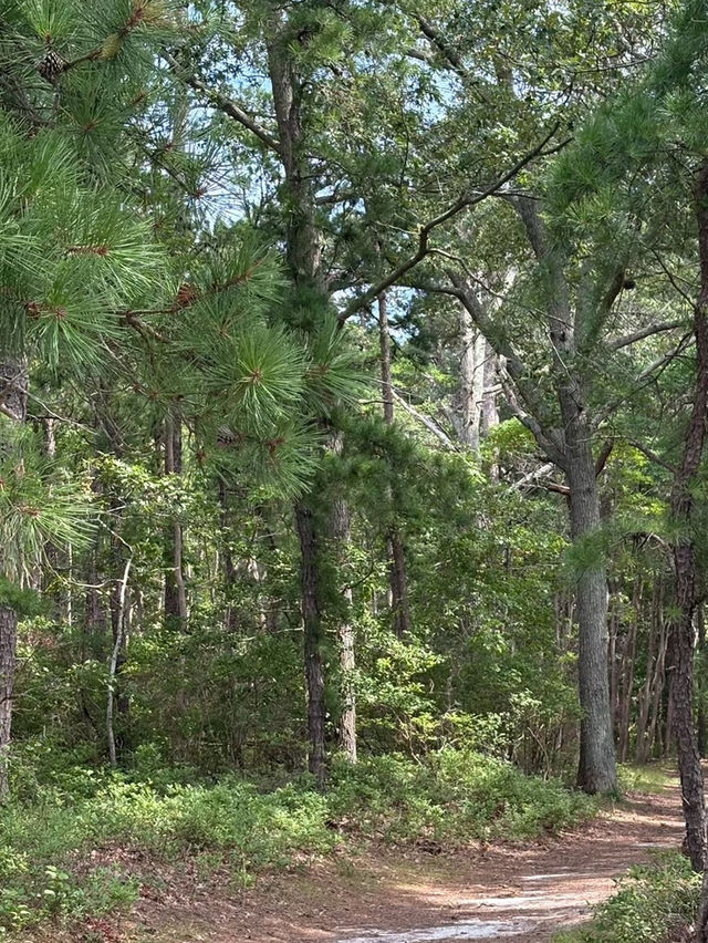 Cattus Island County Park – New Jersey