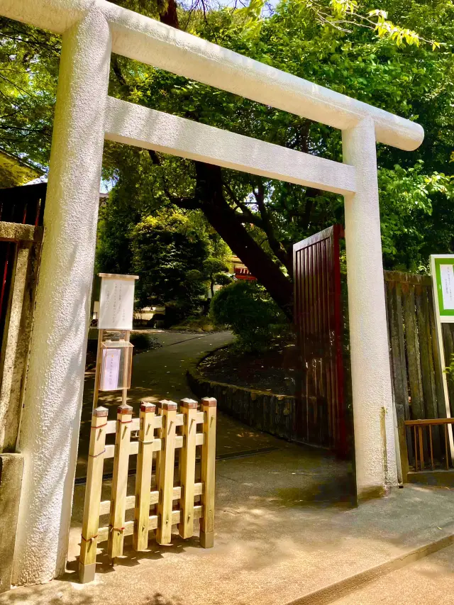 東京三色旅行：吉祥寺·澀谷·新宿