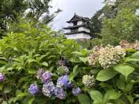弘前城植物園🌺 四季花卉繽紛的秘境花園