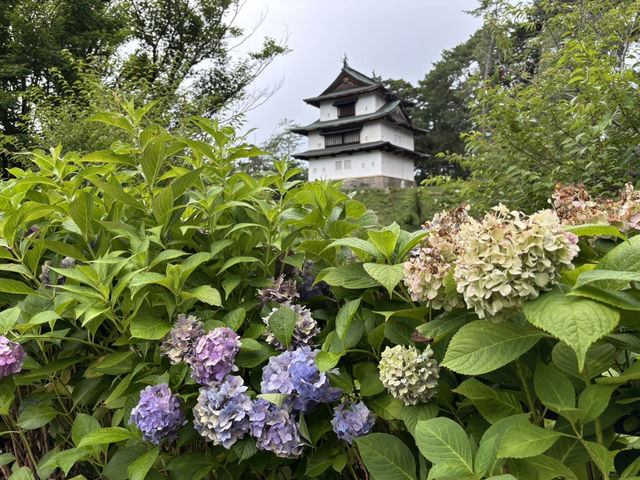 弘前城植物園🌺 四季花卉繽紛的秘境花園