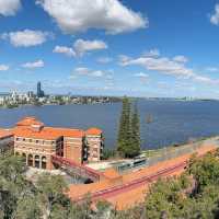 A Floral Symphony at Kings Park and Botanic Garden