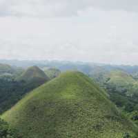เขาช็อกโกแลต (Chocolate Hills)|