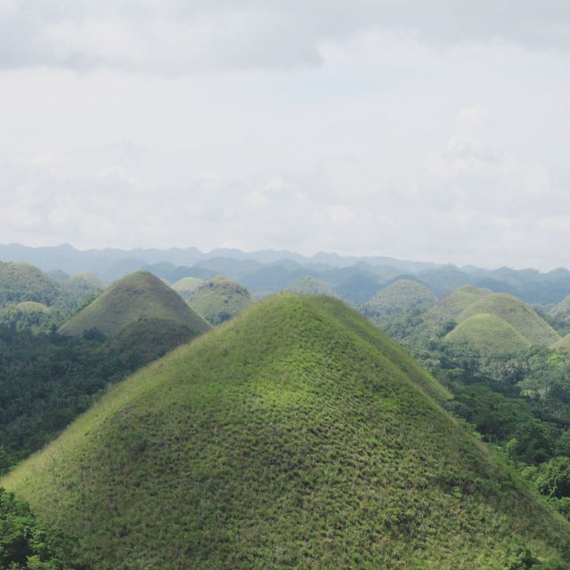 เขาช็อกโกแลต (Chocolate Hills)|