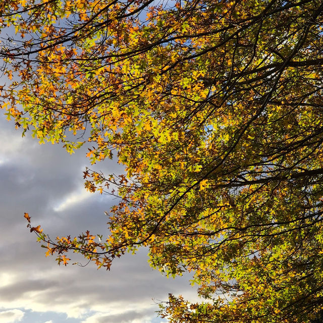 Auckland Botanic Gardens – A Living Treasure of Flora
