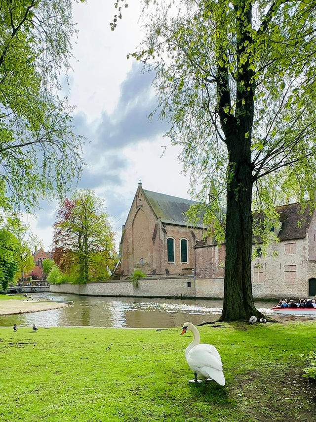 Waterways & Wonders: Brussels to Bruges Waterways & Wonders: Brussels to Bruges