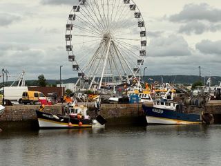 Honfleur Port, Maritime Charm and Lively Atmosphere