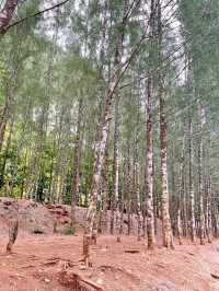 เหมืองหินทับปุด ถ้ำทองหลาง พังงา ⛰️