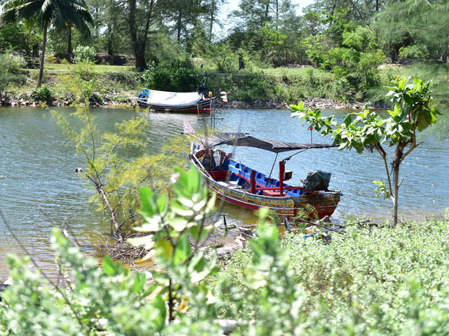 สดกว่านี้ไม่มีอึกแล้ว ตลาดปลาทะเล ตากใบ สดกว่านี้ไม่มีอึกแล้ว ตลาดปลาทะเล ตากใบ