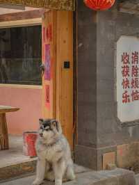 🌿 Baisha Ancient Town – A Haven for Slow Souls 🌿