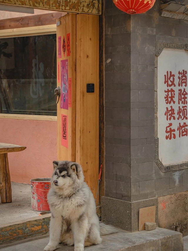 🌿 Baisha Ancient Town – A Haven for Slow Souls 🌿