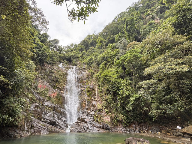 Chillin’ at 鼎湖山: Scenic Vibes & Insta-Worthy Spots 📸🌳