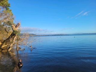 Quiet morning walk along Lake Rotorua boardwalk and Government Gardens