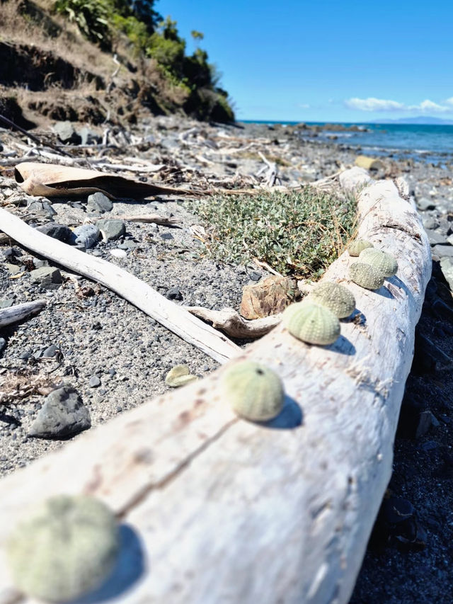 Revolving Around the Beauty of Nature: Trails – New Zealand 
